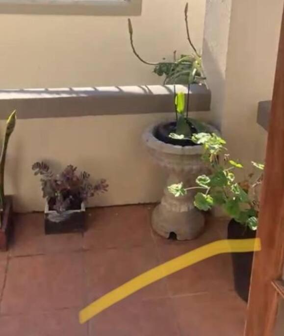1-Bedroom Sea Point Gem - Perfect Location! Cape Town Bagian luar foto